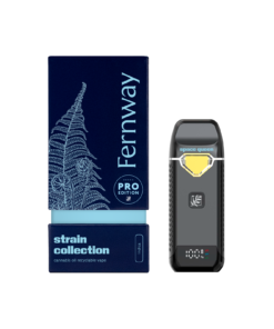 Space Queen Traveler Pro Vape